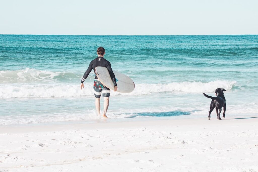 Man surfing with dog Destin