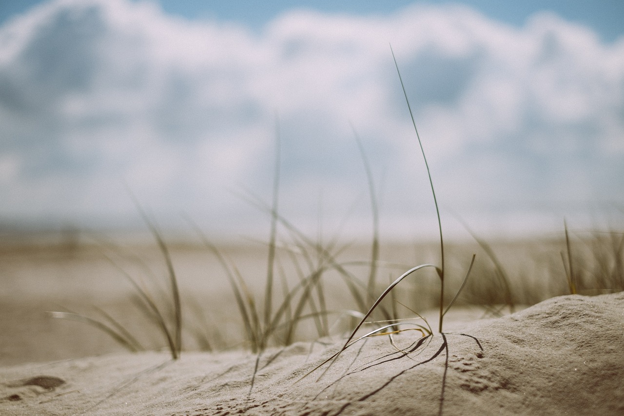 beach, grass, sand-1866823.jpg