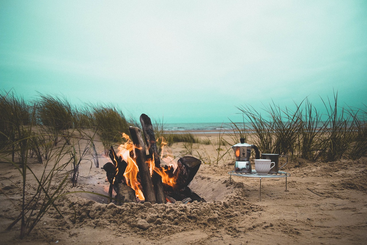 fire, flame, nature, bonfire, campfire, beach, heat, firewood, grass, sand, kitchenware, picnic, sea, ocean, water-2596585.jpg