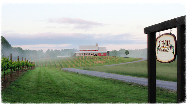 CeNita Vineyard and Winery near Helen, Ga.