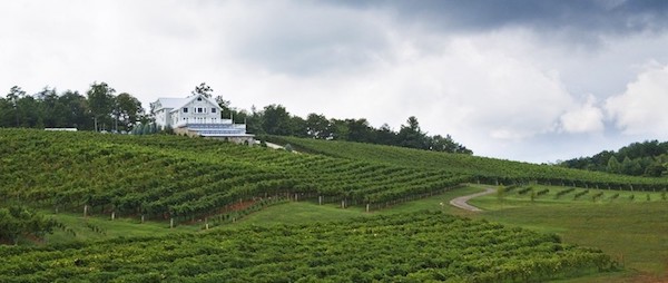 Frogtown Cellars Vineyard and Winery near Helen, Ga.