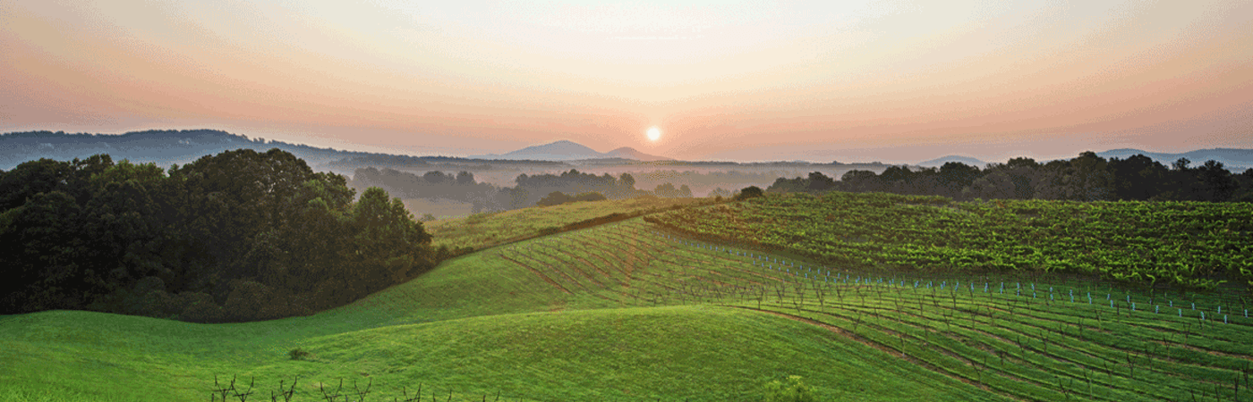 Kara Vineyards and Winery near Helen, Ga.