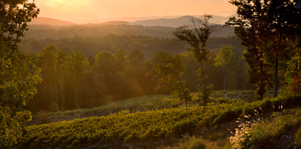 Wolf Mountain Vineyard and Winery near Helen, Ga.