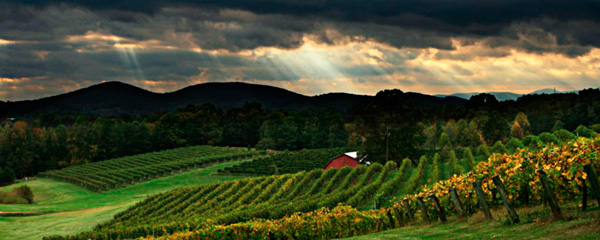 Three Sister's Vineyard and Winery near Helen, Ga.