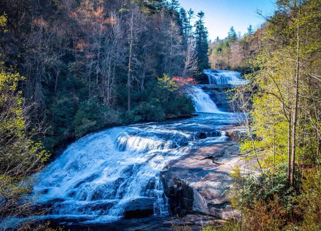 Dupoint State Forest