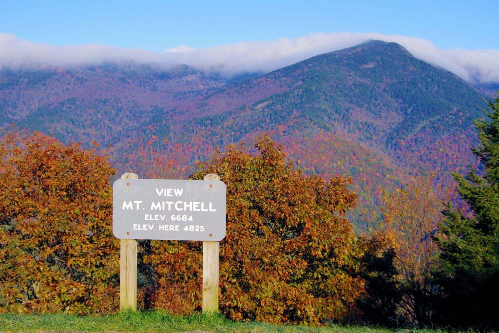 Fall Colors at Mount Mitchell