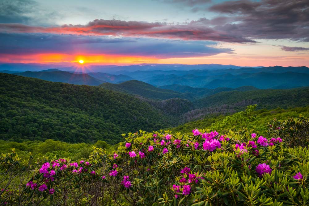 Nature and Hiking