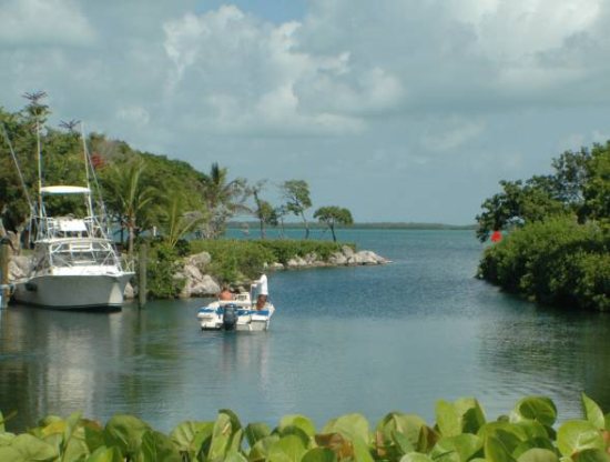 Buttonwood Bay