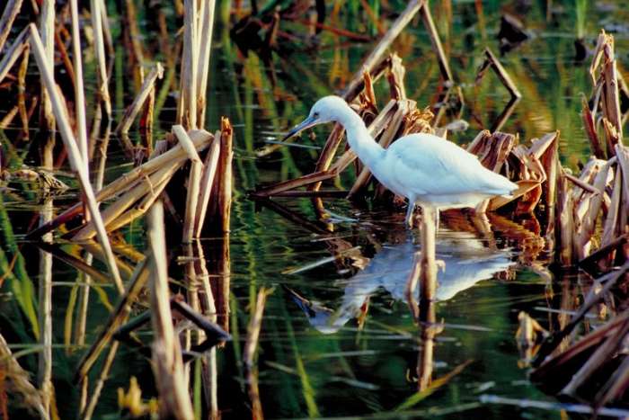 Everglades National Park