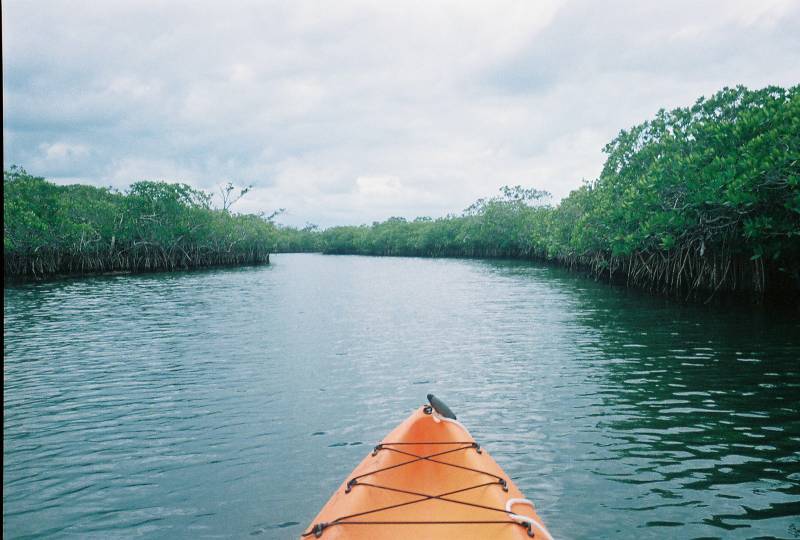 Garl's Coastal Kayaking