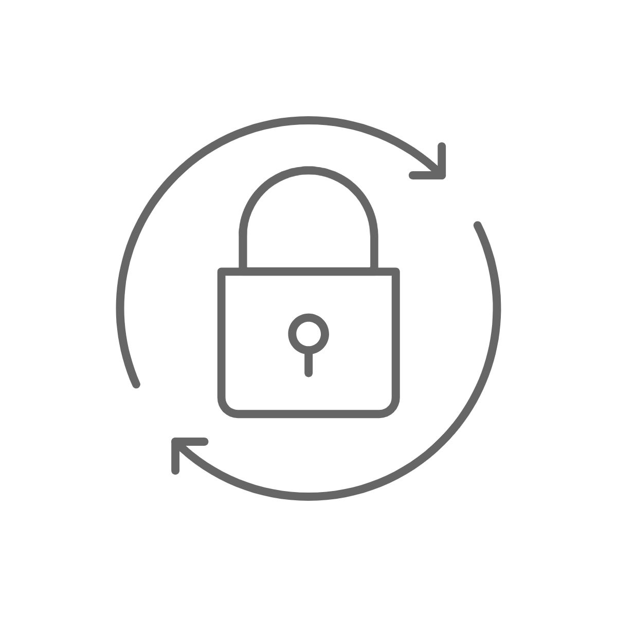 Security icon