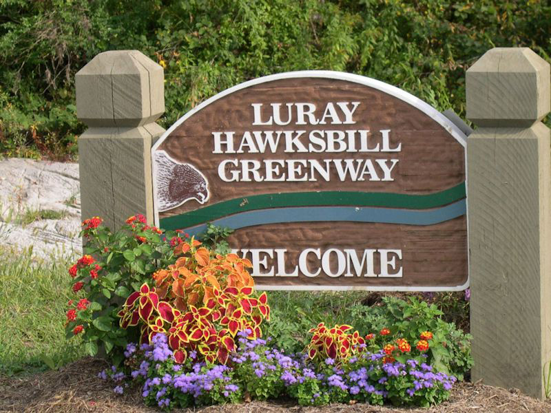 Luray-Hawksbill Greenway