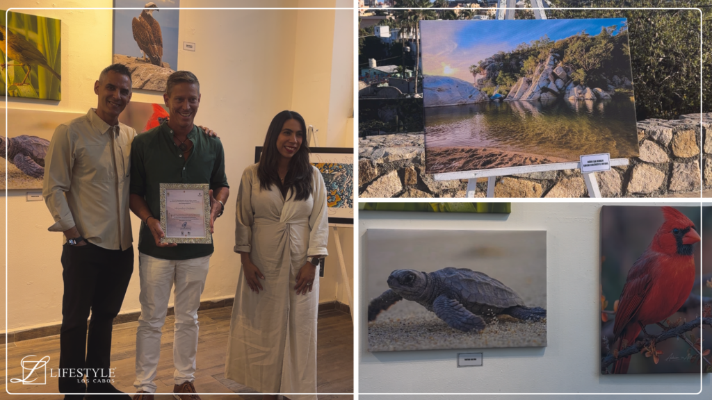 Cabo San Lucas Nature Exhibition & Baja Travel Inspiration Mountains, Sea, and Desert”