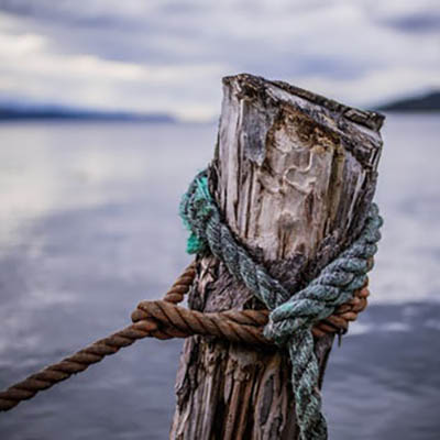 Log and rope