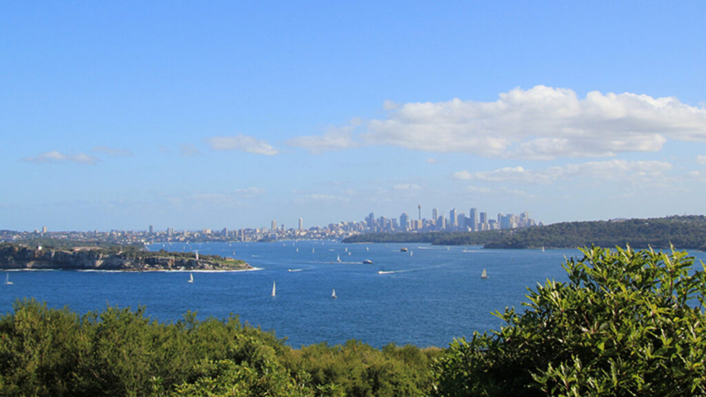 Sydney’s holiday spirit is reflected in its iconic Christmas decorations and celebrations.