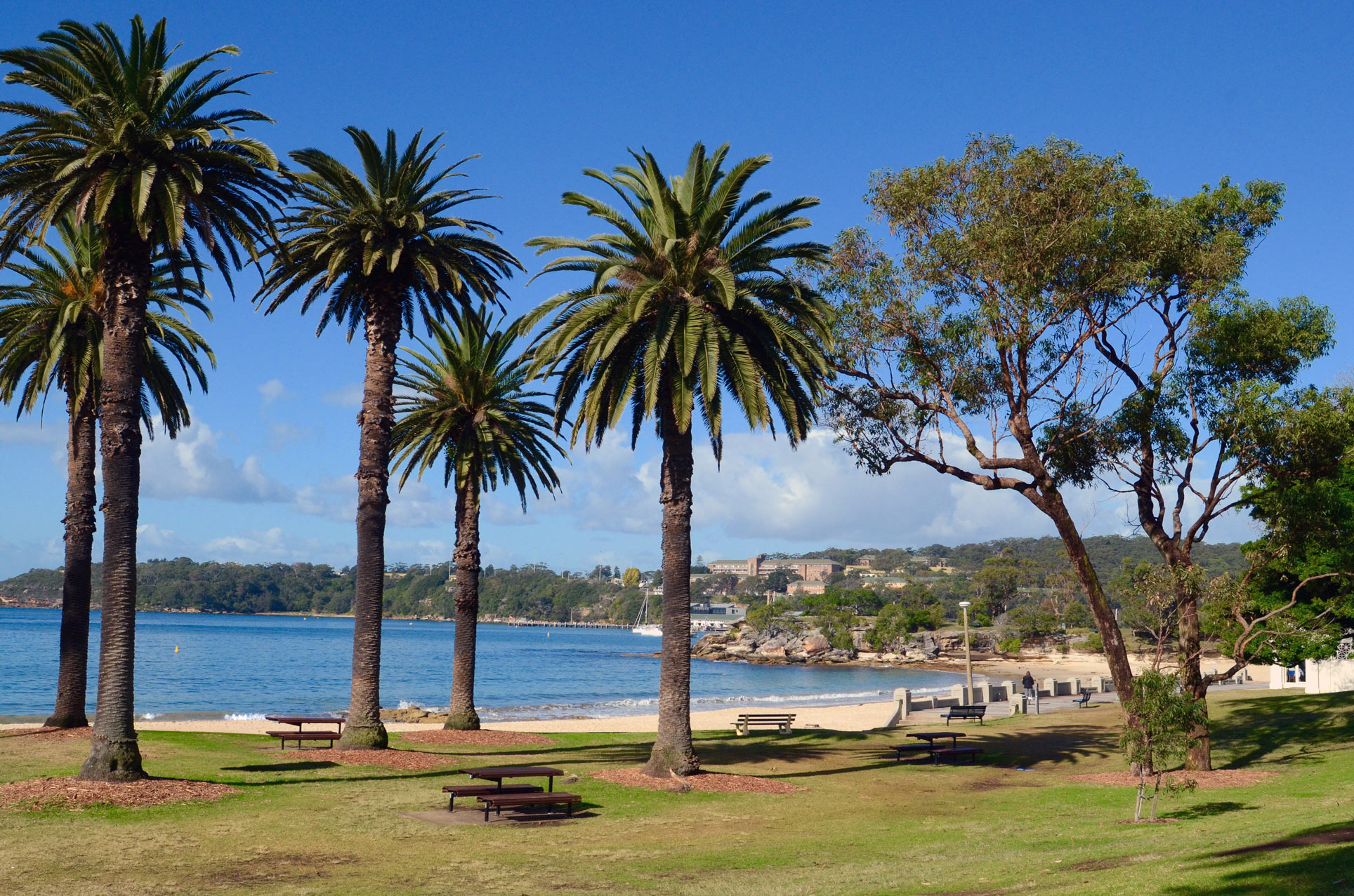 Balmoral Beach Mosman beaches