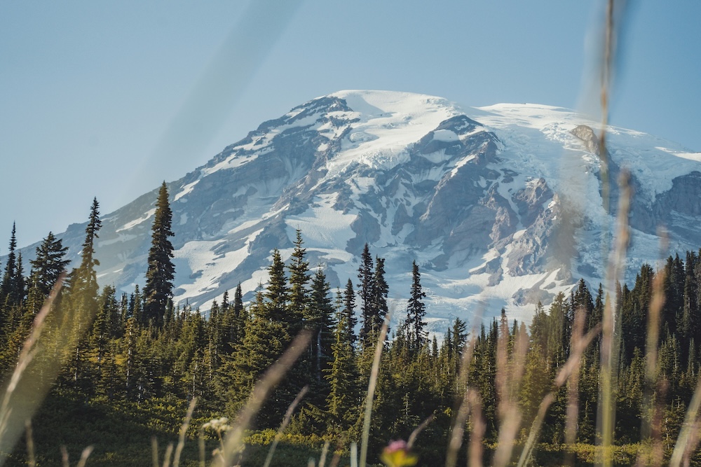 Mount Rainier