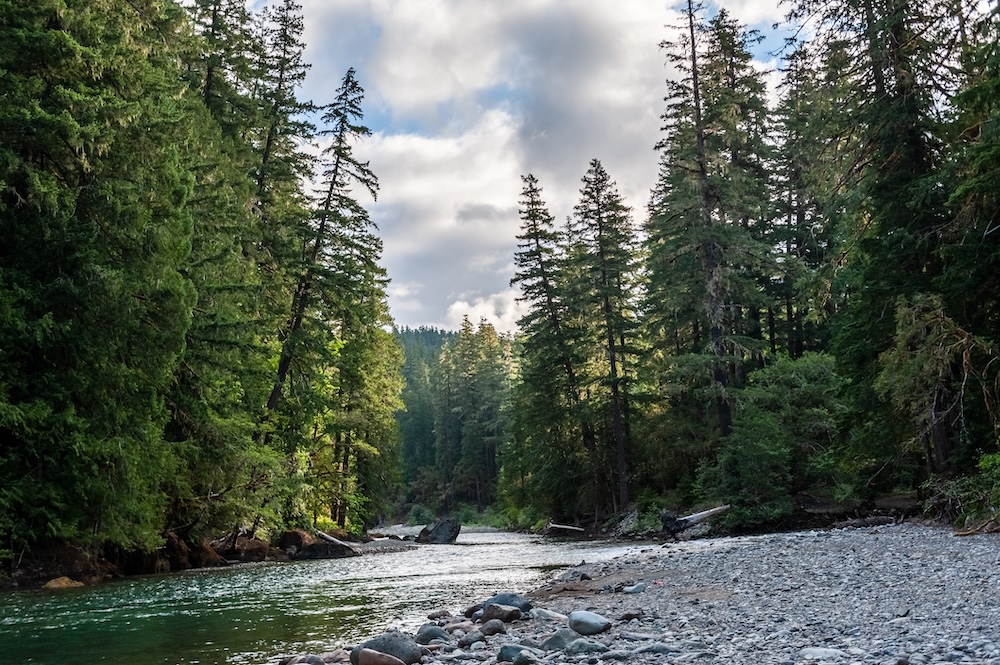 the Cowlitz River in Packwood, Washington. 