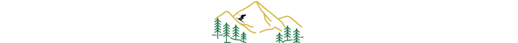 decorative page divider image with illustrated mountain, trees and a skier