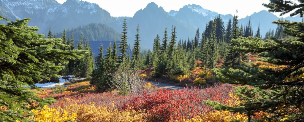 fall colors mount rainier