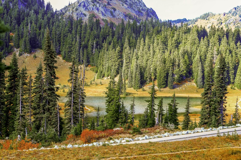 Fall colors and a lake view in Mount Rainier National Park. 