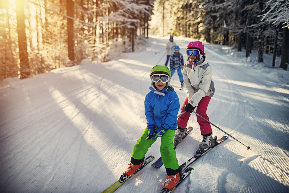 family on a nordic ski trail through the woods on a sunny day