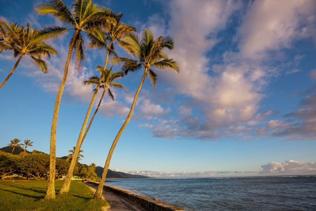 Sunny warm weather on Maui for Thanksgiving