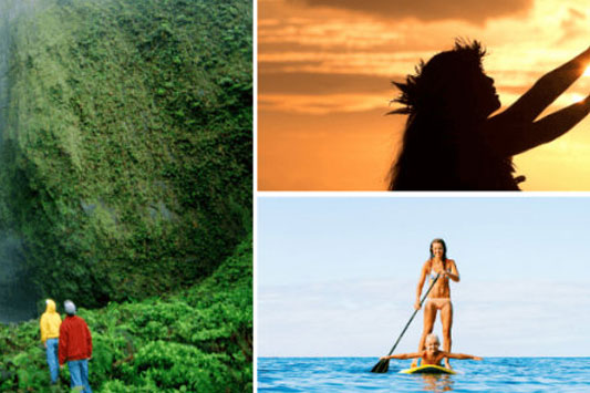 Maui Photo Contest