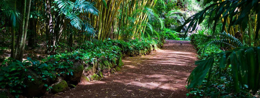 Hike with Little Ones in Maui