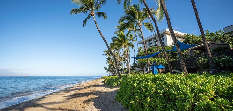 Kaanapali rental properties in Maui