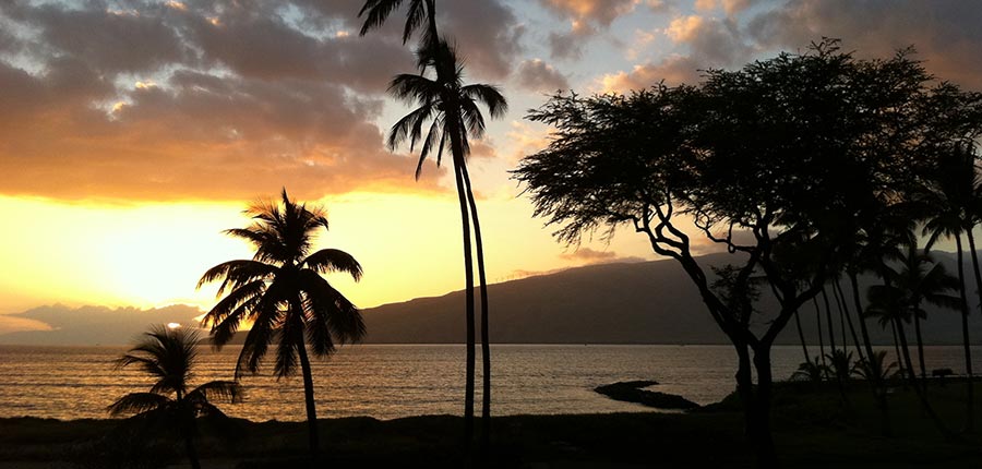 Maalaea rental properties in Maui