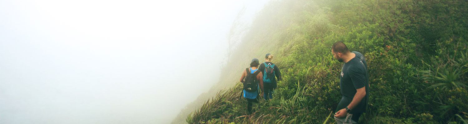 LAND ADVENTURES IN MAUI
