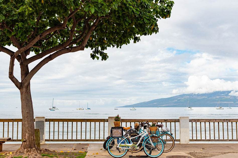 Biking in Maui