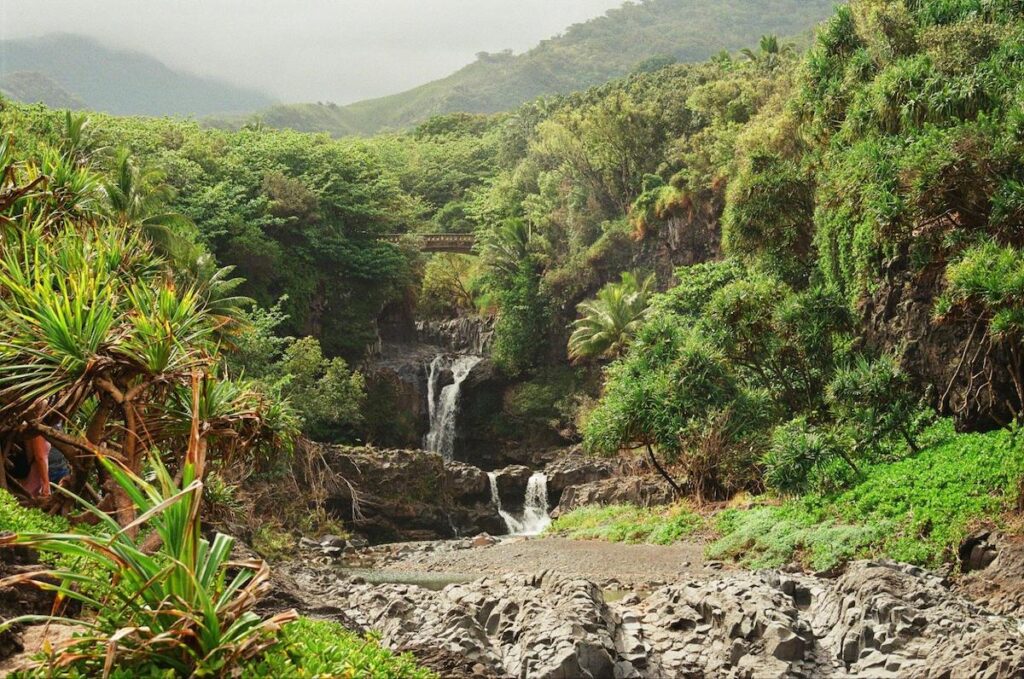 Discover these 7 Must-See Maui Waterfalls