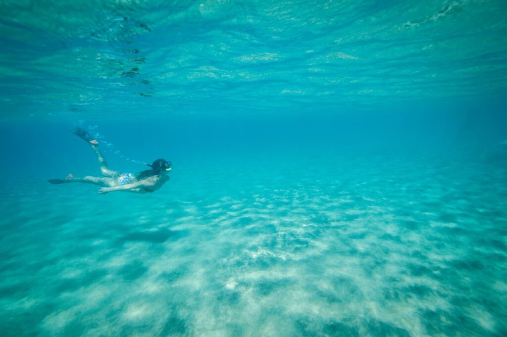 Snorkeling in Maui Top Spots & Essential Tips in 2024