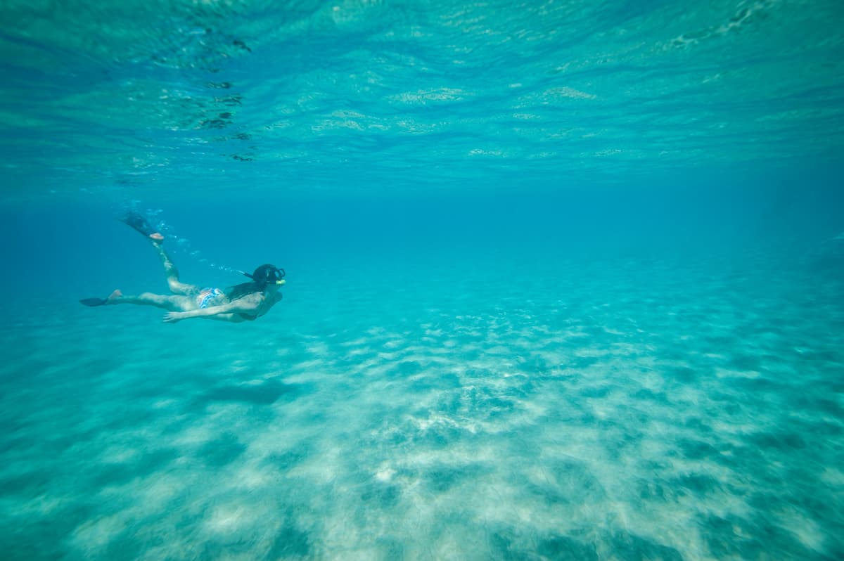 Snorkeling Maui: Dive into the Best Spots & Tips | Cover Image