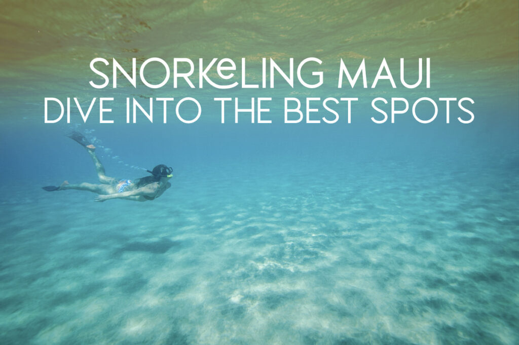 Snorkelling on Maui | Feature image