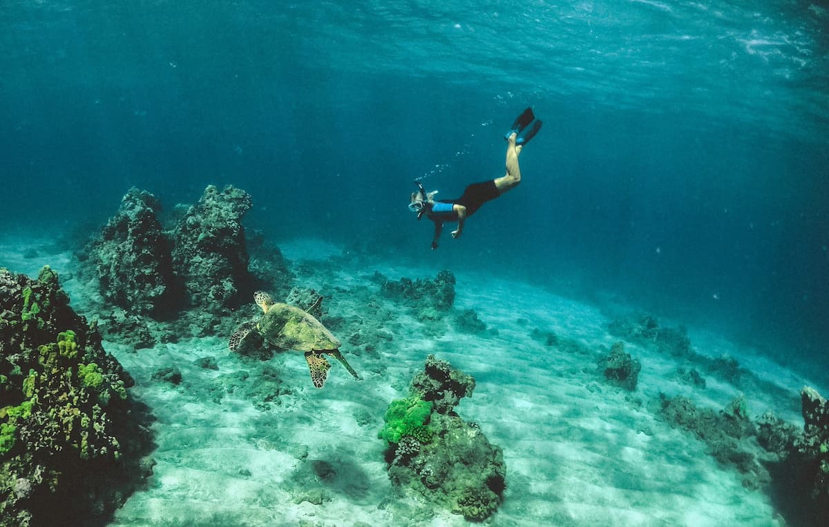 Woman snorkeling next to a sea turtle underwater on Maui