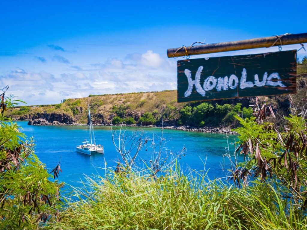 Honolua Bay is renowned for its incredible diversity of marine species