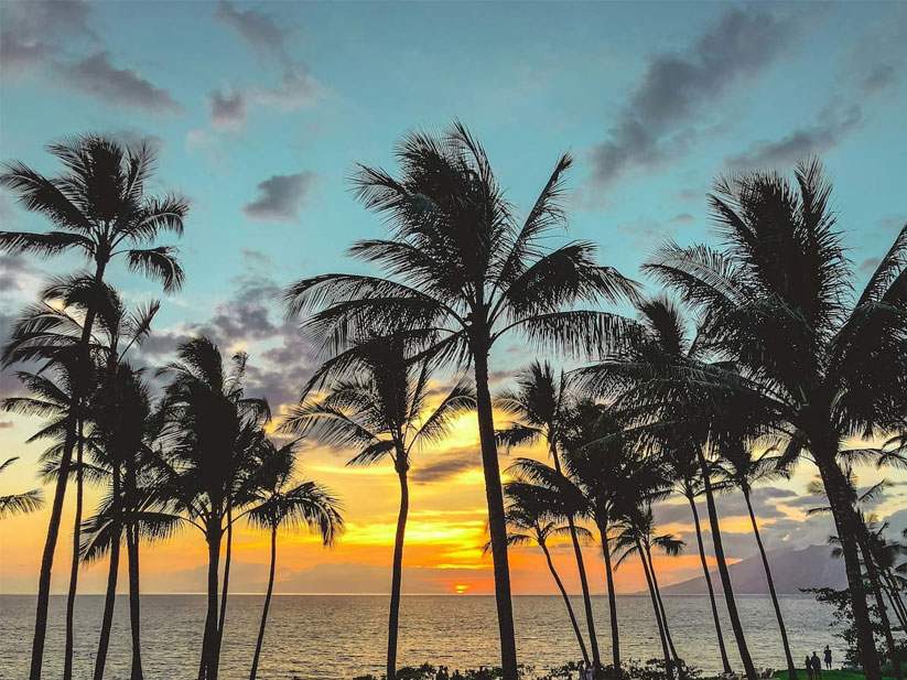 Maui beach and sunset with palm trees