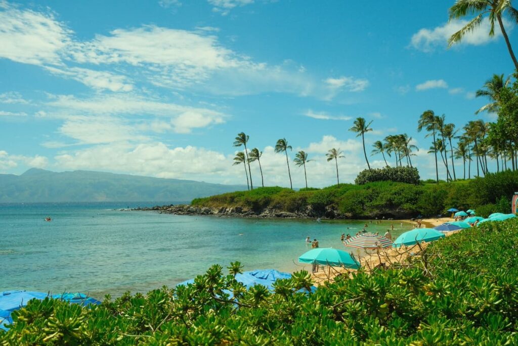 View of Kapalua Bay with beach umbrellas and large palm trees in the background