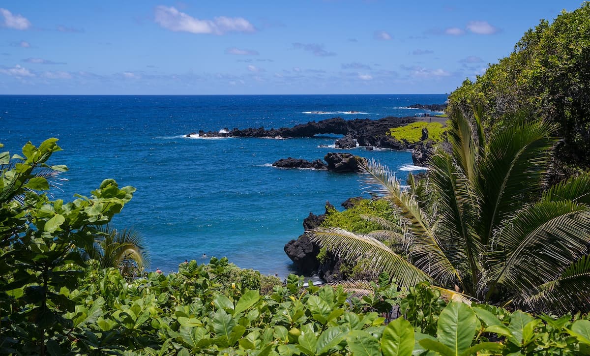 View of Maui's rugged coastline with green trees and leaves