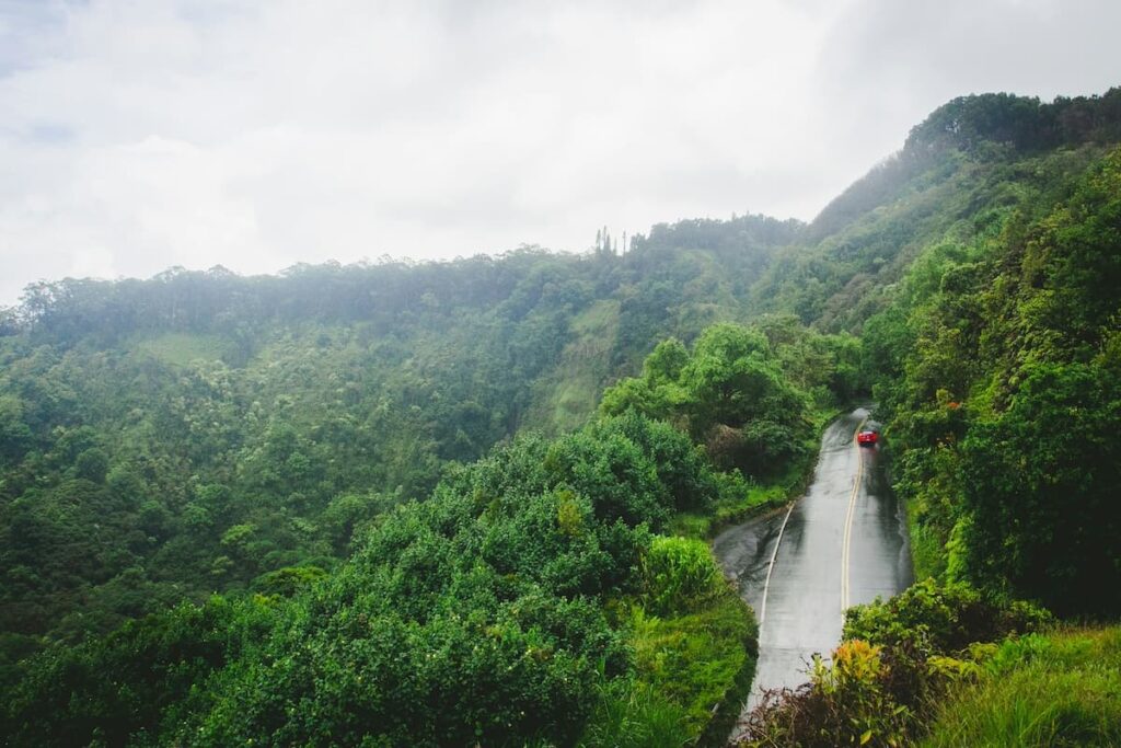 Car driving on the road to Hana surrounded by lush green forests on a misty day