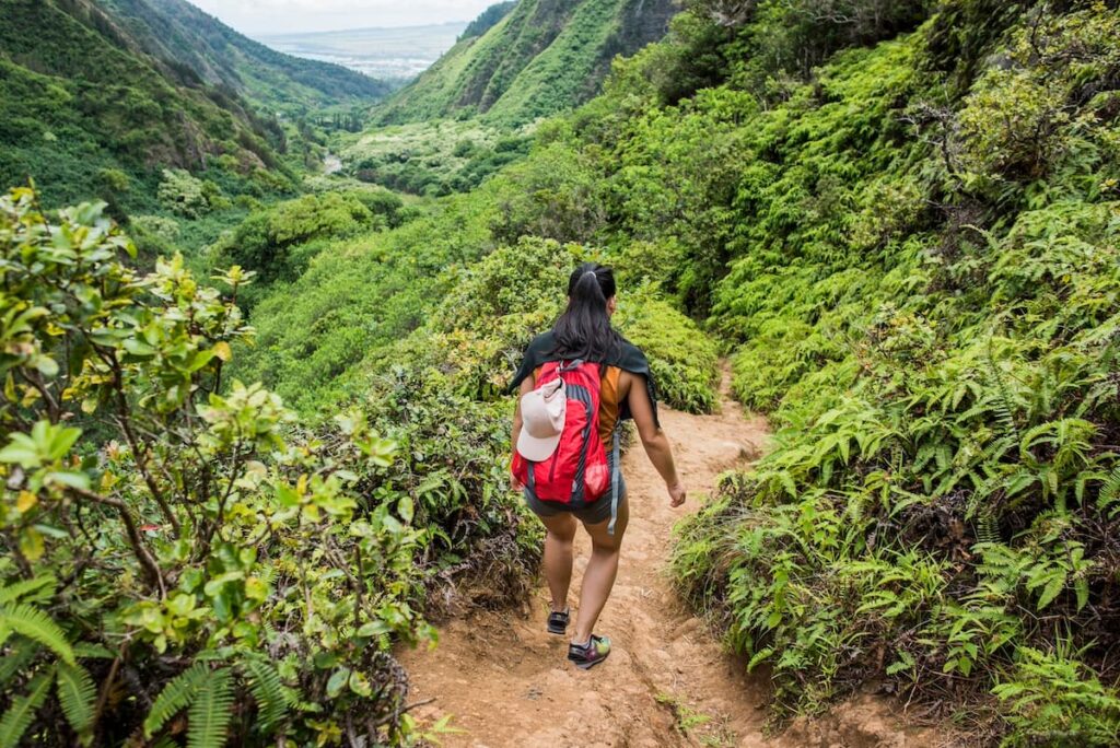 Woman hiking through Maui's lush rainforests on a clear day surrounded by green trees and forests