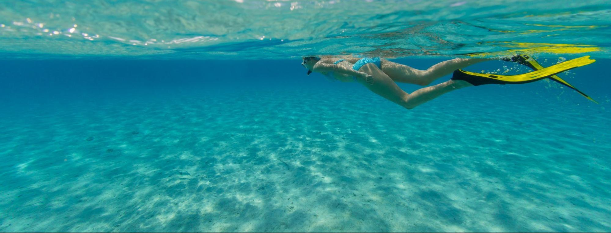 Snorkeler with yellow fins swimming in crystal clear turquoise waters off Maui coast