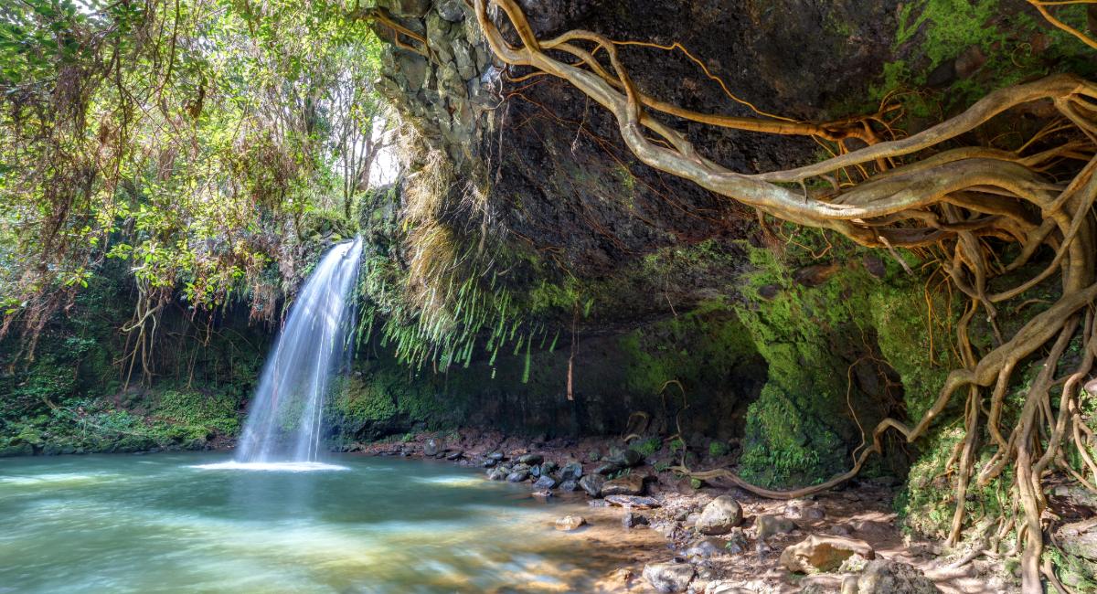 A view of the beautiful twin falls as seen on the Twin Falls Trail