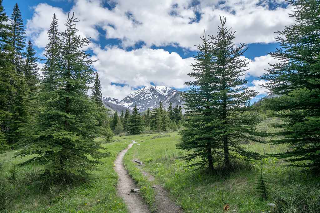 WC Hike Photo