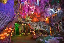 Meow Wolf