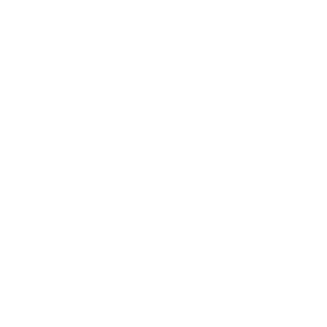 Sandypalmsvacations-new-transparent-logo image