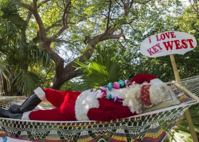 Holidays Image